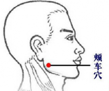 頰車穴的位置及其按摩頰