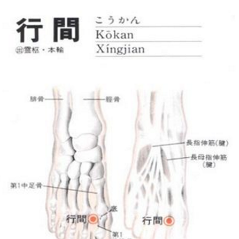 行間穴的準確位置及按摩