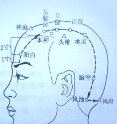 本神穴示意圖