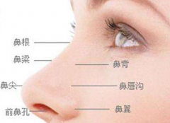 磕碰能導致創傷性鼻中隔穿孔嗎，治療方法有哪些？