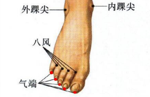 氣端穴的圖片