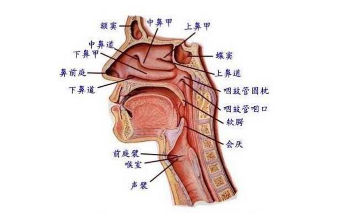鼻竇支氣管綜合征的治療方法