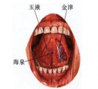玉液穴的按摩手法有哪些？玉液穴的主治病癥