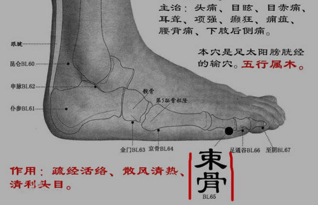 束骨穴的標準定位