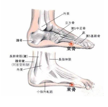 束骨穴的準(zhǔn)確位置及按摩束骨穴的功效與作用！