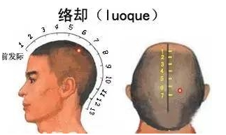 絡(luò)卻穴位置