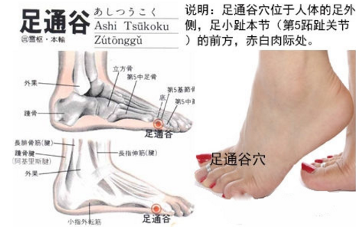 足通谷穴的標準定位