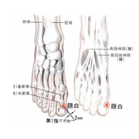 隱白穴的準(zhǔn)確位置及艾灸隱白穴的功效與作用有哪些？