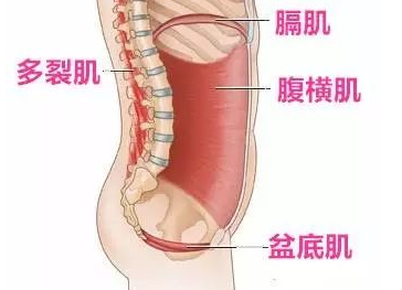 腹直肌鞘內血腫的癥狀