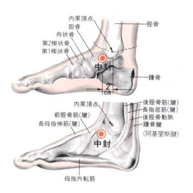 中封穴的準(zhǔn)確位置及按摩中封穴的功效與作用！