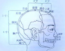 囟會穴位位置及其自灸囟