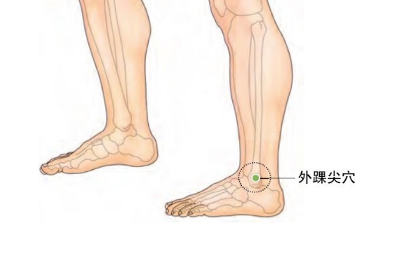 外踝尖穴的圖片