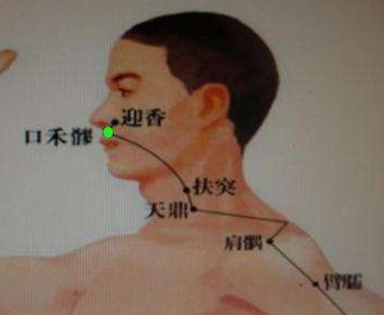 口禾髎穴的圖片