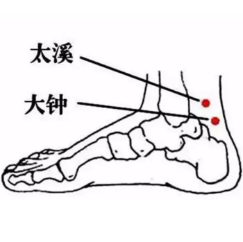 大鐘穴的準確位置及按摩大鐘穴的功效與作用有哪些？