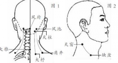 為什么缺盆穴可以治咳嗽