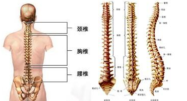 脊髓火器傷