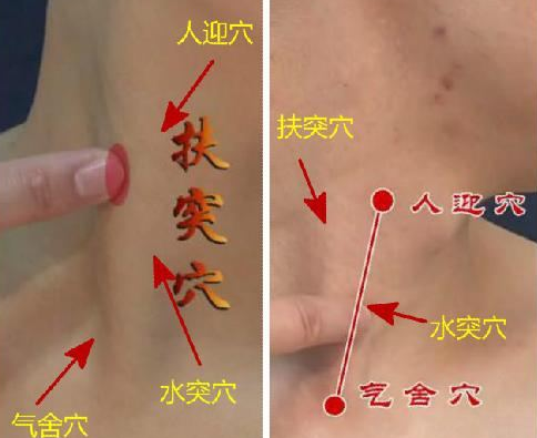 扶突穴示意圖