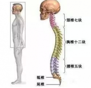 棘突骨折夠得上傷殘嗎?棘突骨折的治療方法