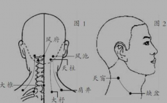 天窗穴——長在身上的暈車藥，天窗穴位置怎么找？