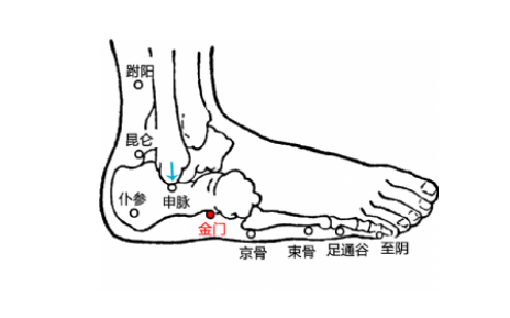 金門穴的準確位置