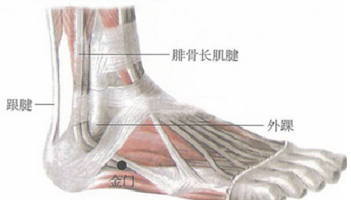 金門穴位置及作用