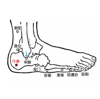 仆參穴疼是什么原因？它的準(zhǔn)確位置及其功效與作用有哪些？