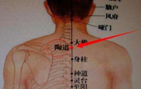 陶道穴示意圖
