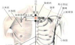 璇璣穴痛是什么原因?璇璣穴的功效與作用介紹