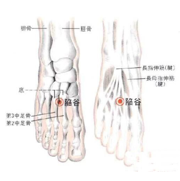 陷谷穴疼痛是什么原因？它的準確位置及其按摩的功效與作用有哪些？