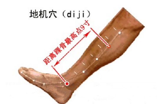 地機穴的取穴方法