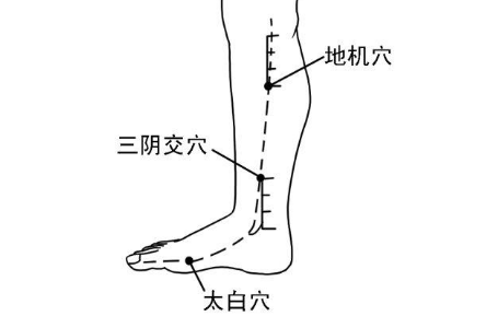 地機穴的功效與作用
