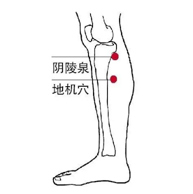 地機穴能治療糖尿病？它