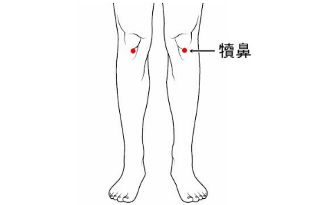 犢鼻穴的圖片