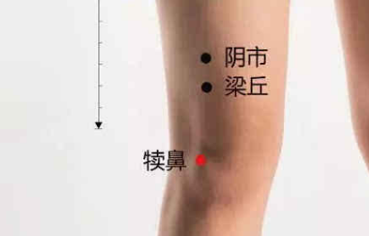 犢鼻穴的位置