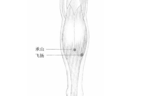 飛揚穴的取穴方法