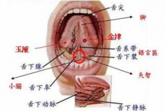 中醫(yī)為你揭秘：聚泉穴的位置及其聚泉穴使人長(zhǎng)壽的秘訣！
