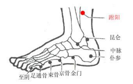 跗陽(yáng)穴疼痛怎么回事