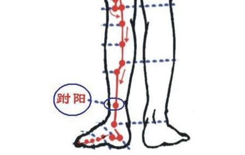 跗陽(yáng)穴的位置