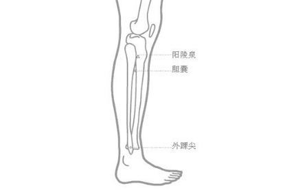 陽(yáng)陵泉穴的功效與作用