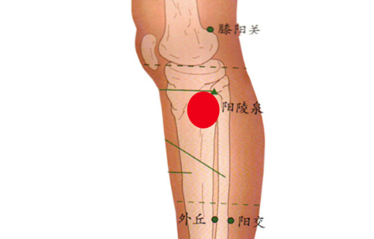 陽(yáng)陵泉穴穴位配伍