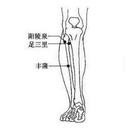 如何定位陽陵泉穴？其準確位置及按摩的功效與作用有哪些？