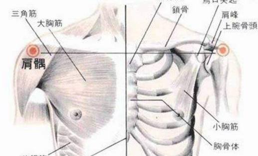 肩髃穴示意圖