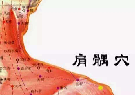 肩髃穴的功效與作用