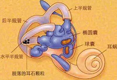 迷路震蕩
