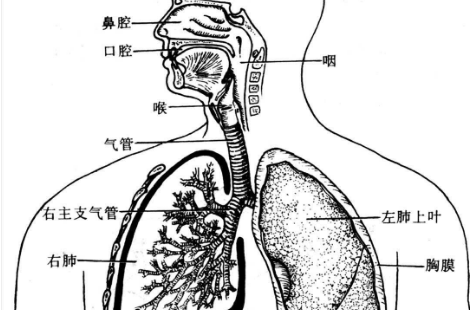多系統(tǒng)器官功能衰竭的癥狀表現(xiàn)