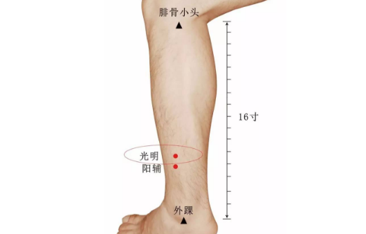 光明穴的準確位置