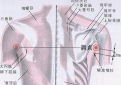 肩貞穴疼痛引起的原因及