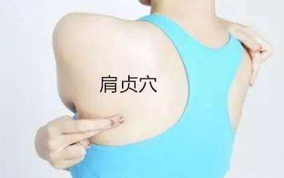 肩貞穴的圖片