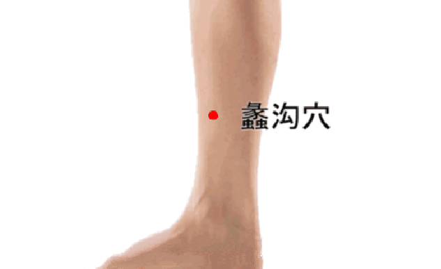 蠡溝穴的標準定位