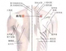 曲垣穴疼是怎么回事?按摩曲垣穴的好處介紹